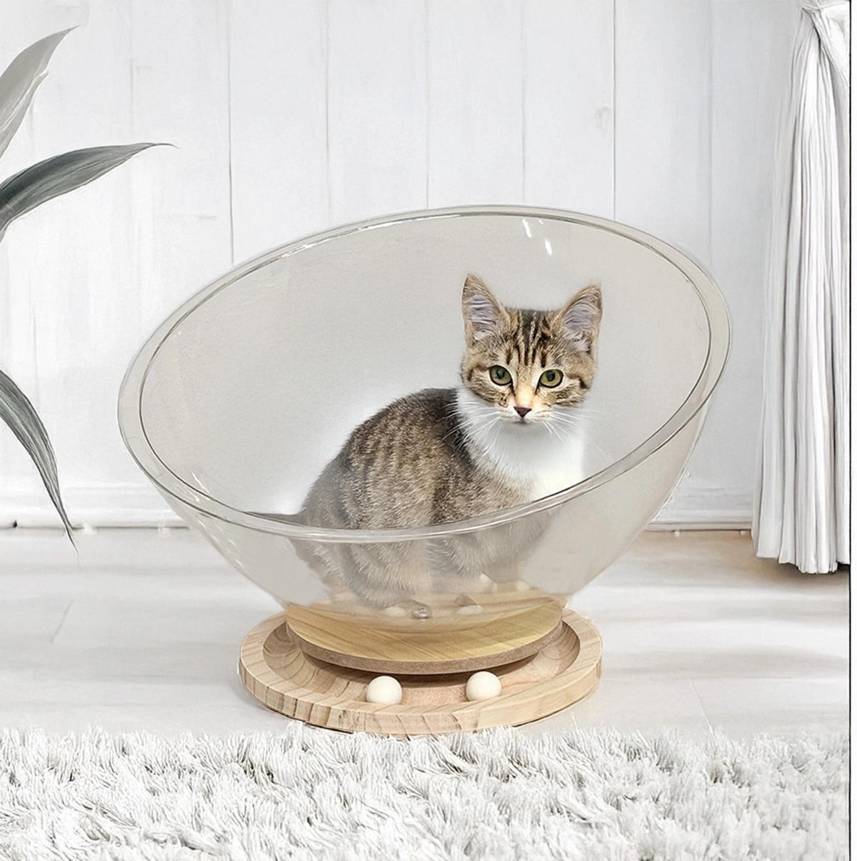 クリア素材のねこボウル